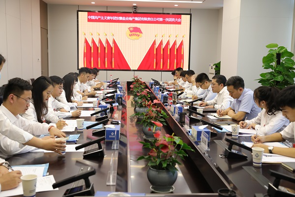 青春向黨傳薪火 踔厲奮發(fā)新時代——安徽鹽業(yè)地產集團團支部成立大會暨團員大會勝利召開